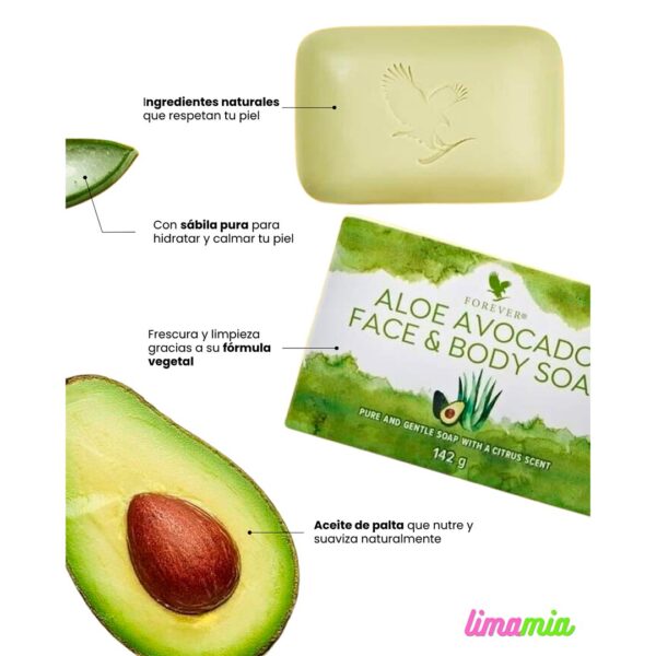 avocado forever living