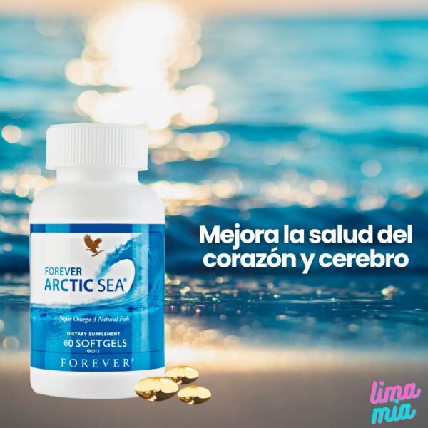 artic sea forever