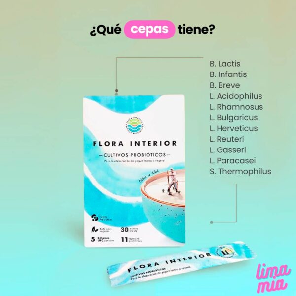 probioticos-para-la-flora-intestinal