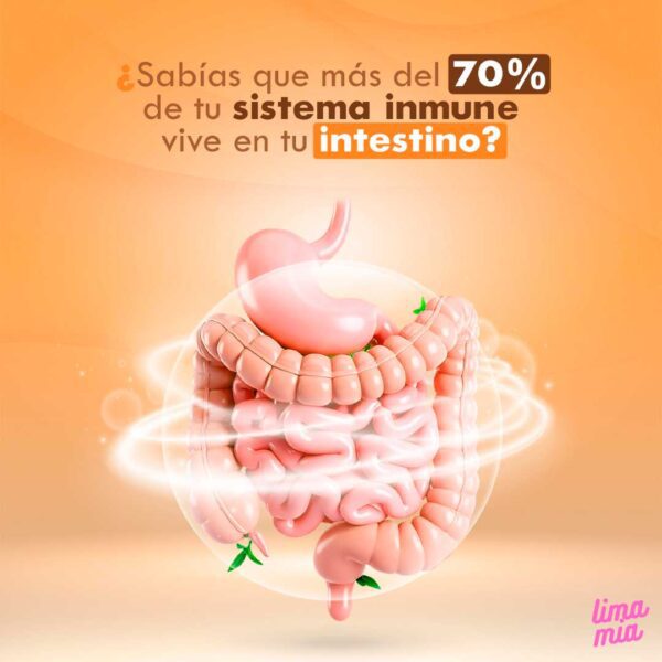 probióticos para adultos