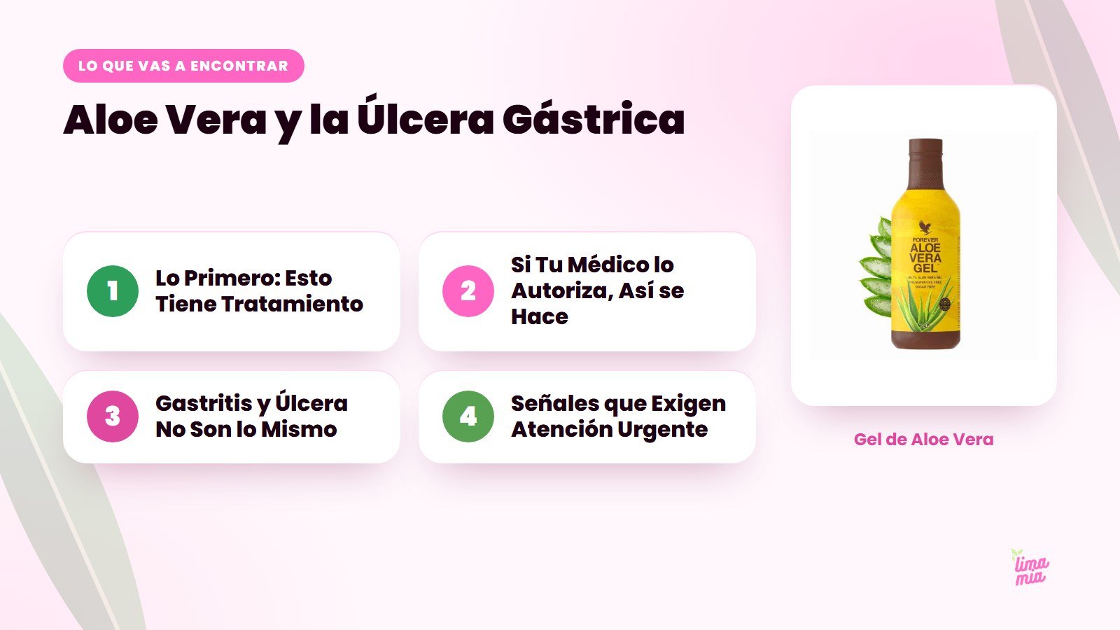 Lo que vas a encontrar en «Aloe Vera y la Úlcera Gástrica»: Lo Primero: Esto Tiene Tratamiento, Si Tu Médico lo Autoriza, Así se Hace, Gastritis y Úlcera No Son lo Mismo, Señales que Exigen Atención Urgente