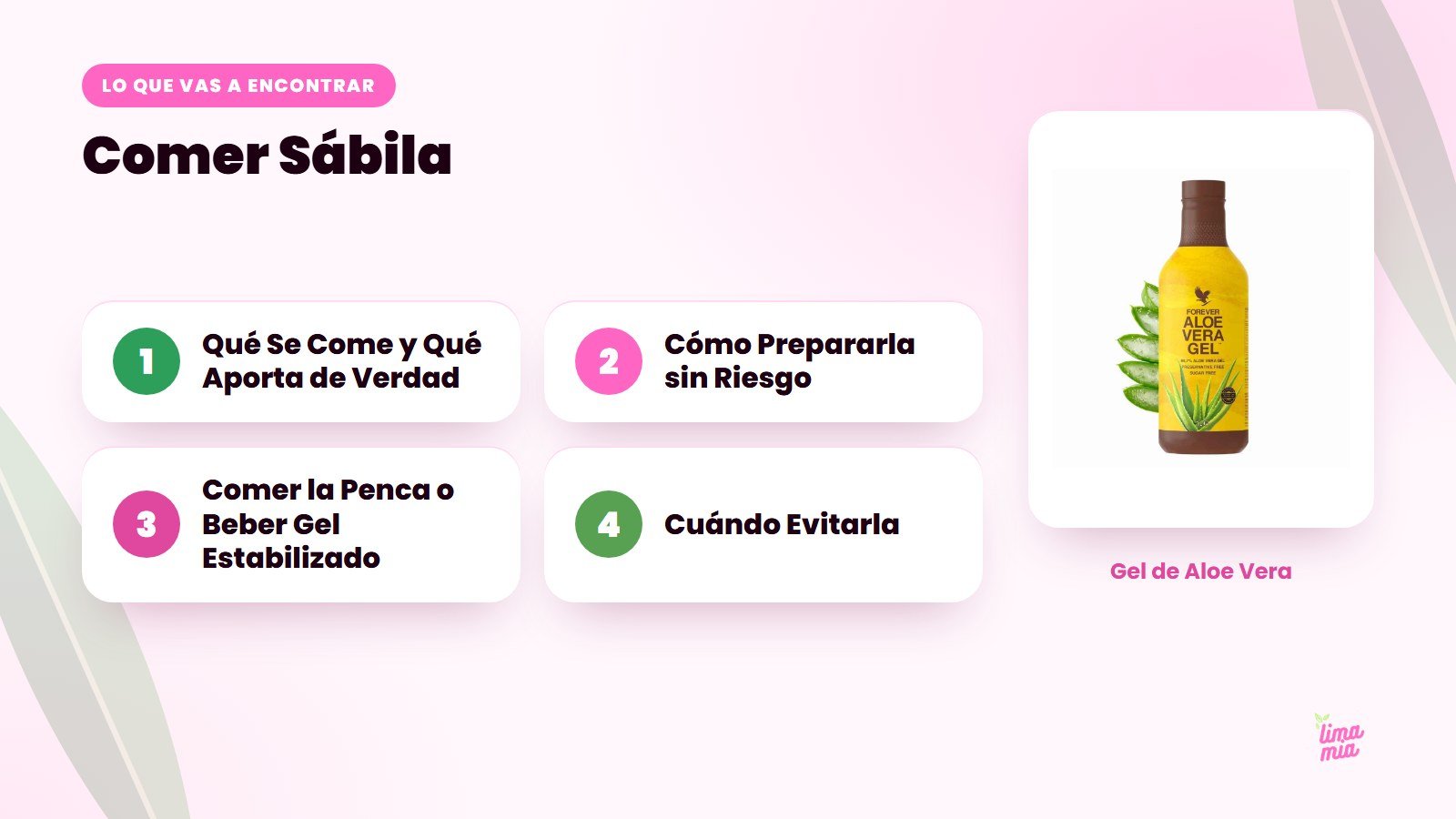 Lo que vas a encontrar en «Comer Sábila»: Qué Se Come y Qué Aporta de Verdad, Cómo Prepararla sin Riesgo, Comer la Penca o Beber Gel Estabilizado, Cuándo Evitarla