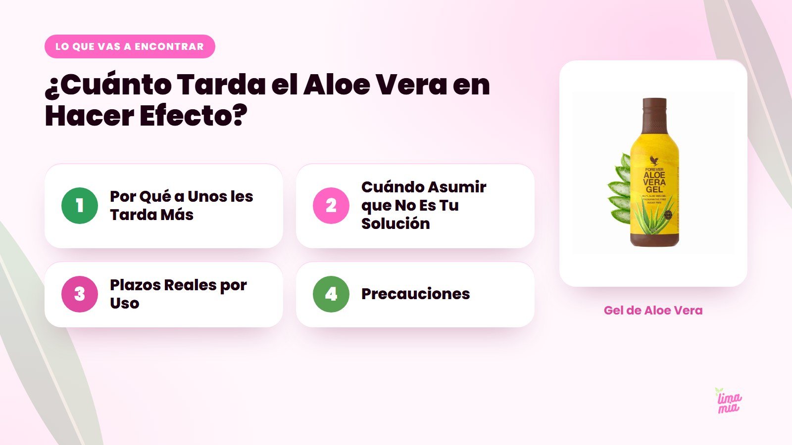Lo que vas a encontrar en «¿Cuánto Tarda el Aloe Vera en Hacer Efecto?»: Por Qué a Unos les Tarda Más, Cuándo Asumir que No Es Tu Solución, Plazos Reales por Uso, Precauciones