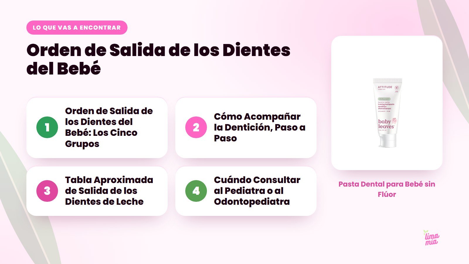 Lo que vas a encontrar en «Orden de Salida de los Dientes del Bebé»: Orden de Salida de los Dientes del Bebé: Los Cinco Grupos, Cómo Acompañar la Dentición, Paso a Paso, Tabla Aproximada de Salida de los Dientes de Leche, Cuándo Consultar a