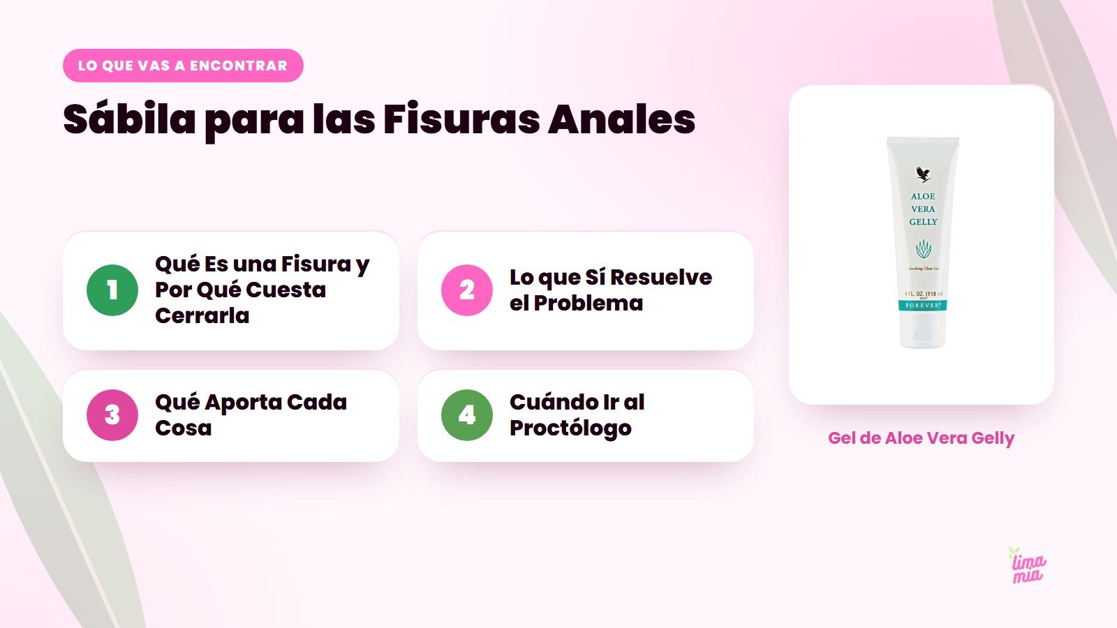 Lo que vas a encontrar en «Sábila para las Fisuras Anales»: Qué Es una Fisura y Por Qué Cuesta Cerrarla, Lo que Sí Resuelve el Problema, Qué Aporta Cada Cosa, Cuándo Ir al Proctólogo