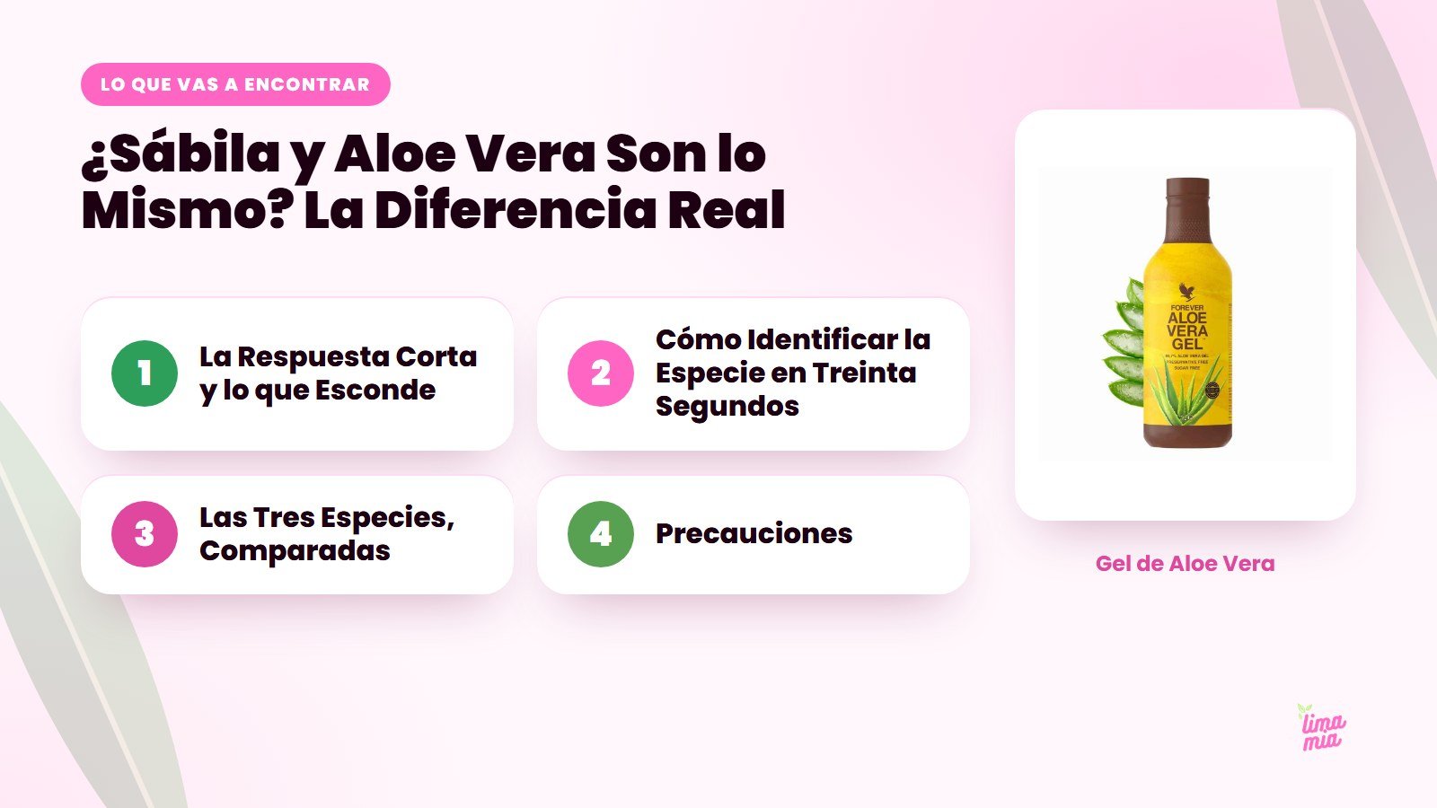 Lo que vas a encontrar en «¿Sábila y Aloe Vera Son lo Mismo? La Diferencia Real»: La Respuesta Corta y lo que Esconde, Cómo Identificar la Especie en Treinta Segundos, Las Tres Especies, Comparadas, Precauciones