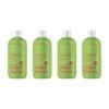 Shampoo para niños de sandía y coco: 4 unidades